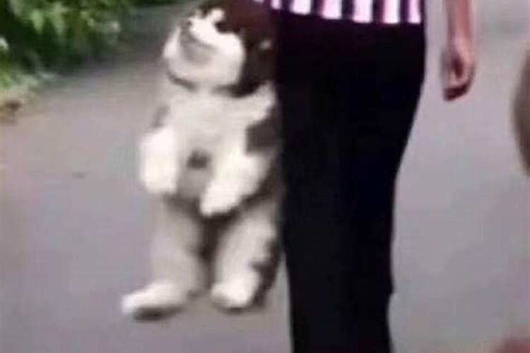 做法事念的是什么经文