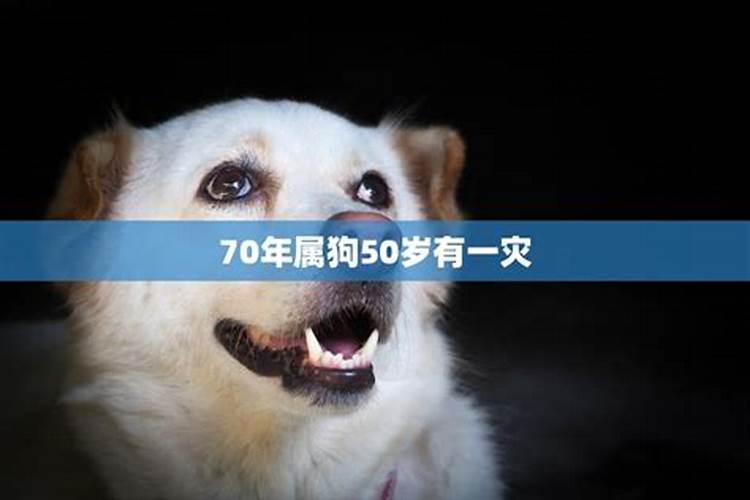 1970年属狗2025年运势