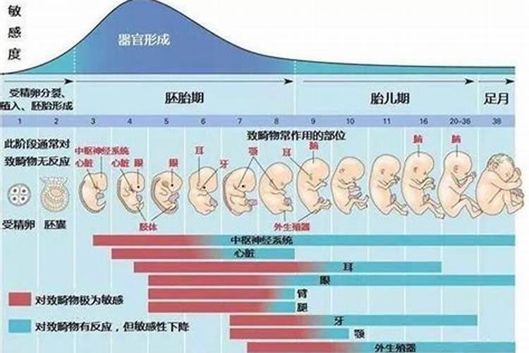 属羊人蛇年运势2025