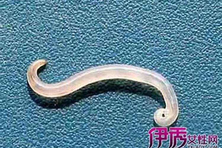正月初五正确迎财神爷方法