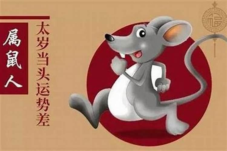 10月25号什么星座