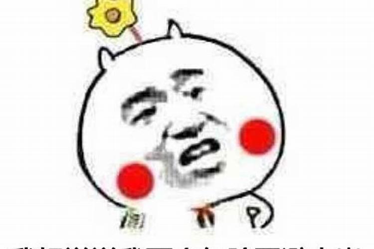 属猴2025年每月运势及运程详解