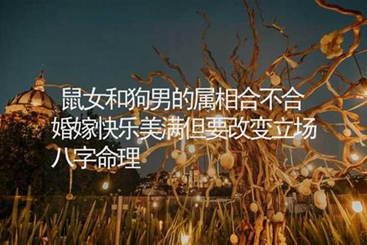 八字不合过得幸福的