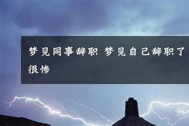 属虎的都是哪年犯太岁呢？