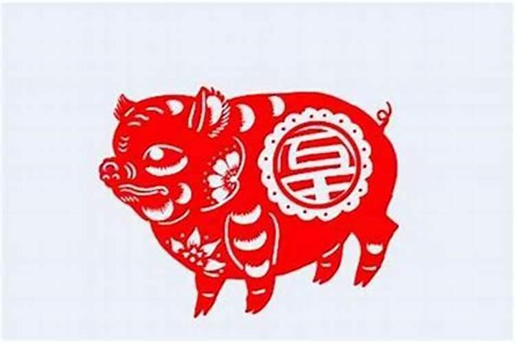 属猪腊月二十八出生命运如何宝宝性格分析？