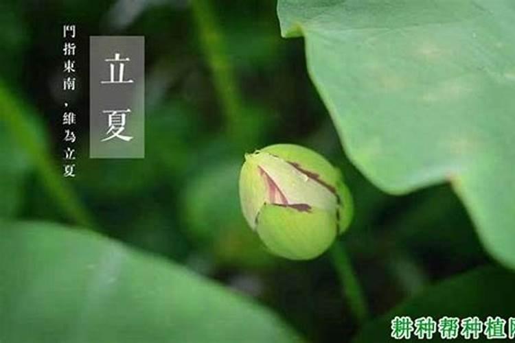 已婚女子梦见去世的父亲骑自行车回家了