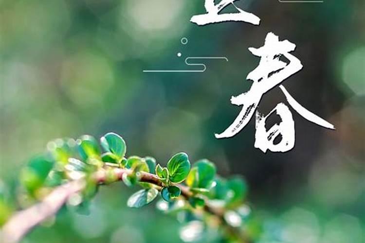 1994年属狗男2025年的运势和婚姻