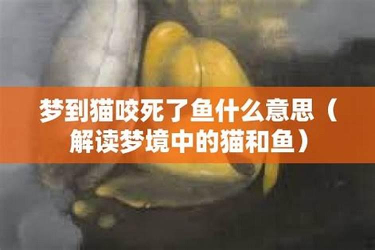 今年腊月16号结婚日子好不好？男的1988年9月,女的1990年4月