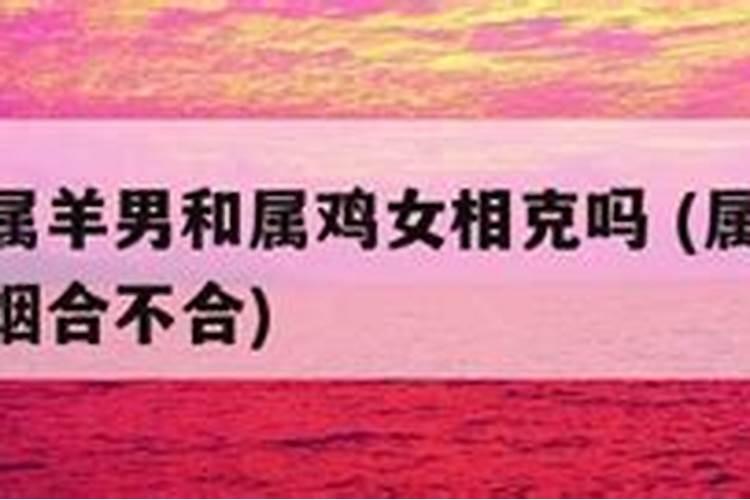 男鸡女羊的婚姻如何 男鸡女羊的婚姻相配吗