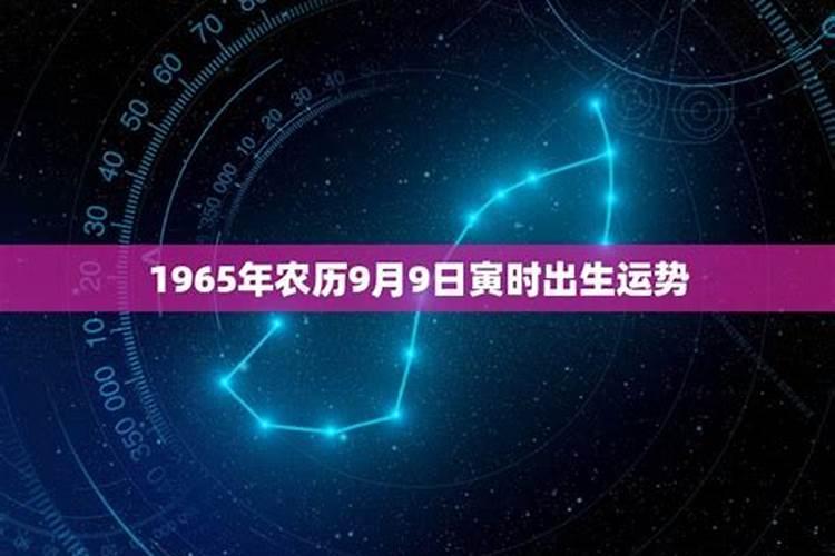 1965属蛇人2024年全年运势运程