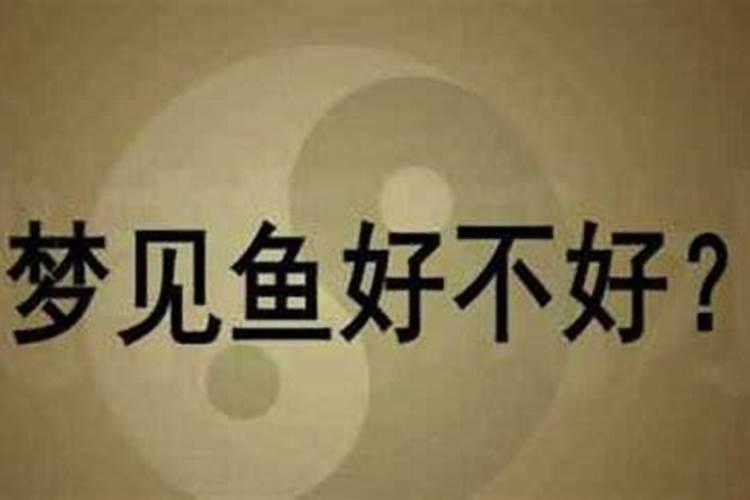女人梦见鱼是吉兆吗