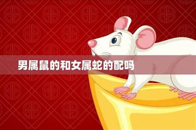 梦见朋友来家里吃饭有什么征兆