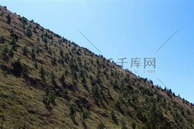 梦见朋友来自己家吃饭的预兆