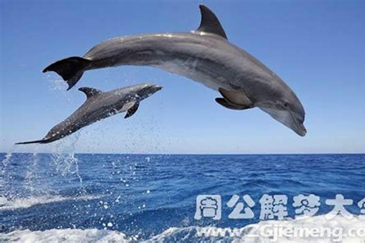 85年农历12月3号是什么星座百度一下  百度