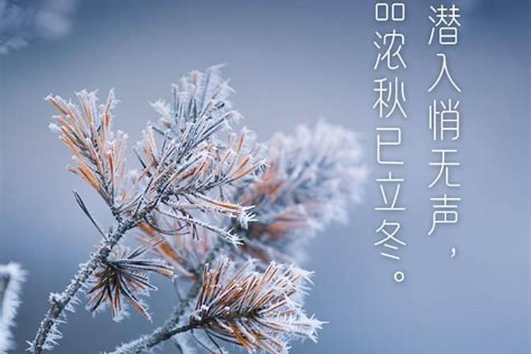 儿童快板词新年到
