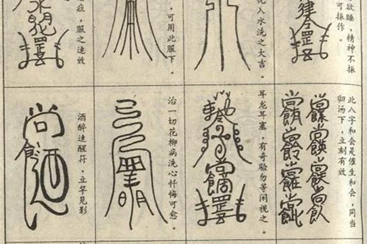属兔人与什么属相配最好