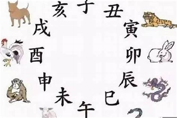 男鼠女马相配婚姻会怎么样