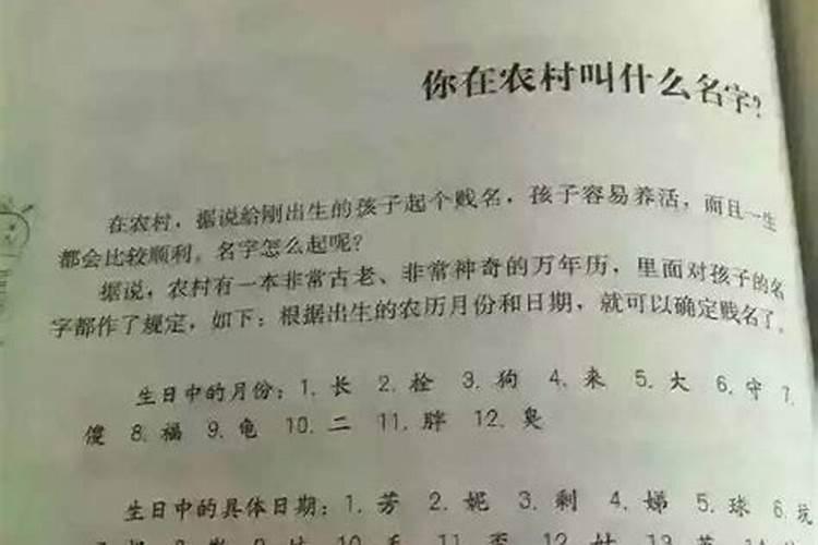 大学竞选学生会和社联都有什么流程和注意事项？