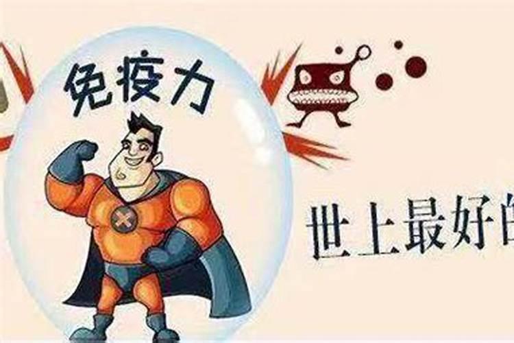 81年属鸡人在2025年的全年运势