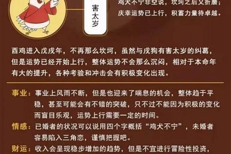 为什么犯太岁
