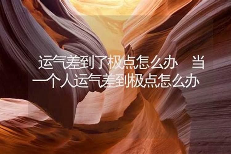 1976年属什么生肖婚配,1962年与什么属相结合最合适