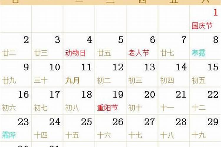 1987年属兔2025年的运势及运程如何