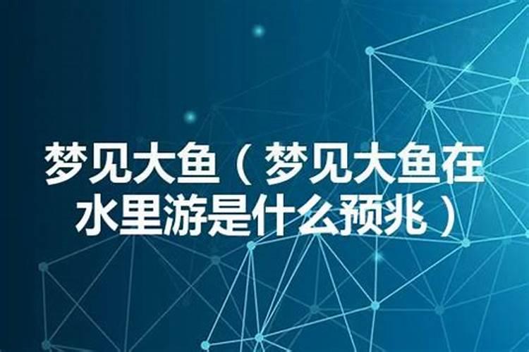 梦见大鱼的寓意 梦见大鱼是什么意思？