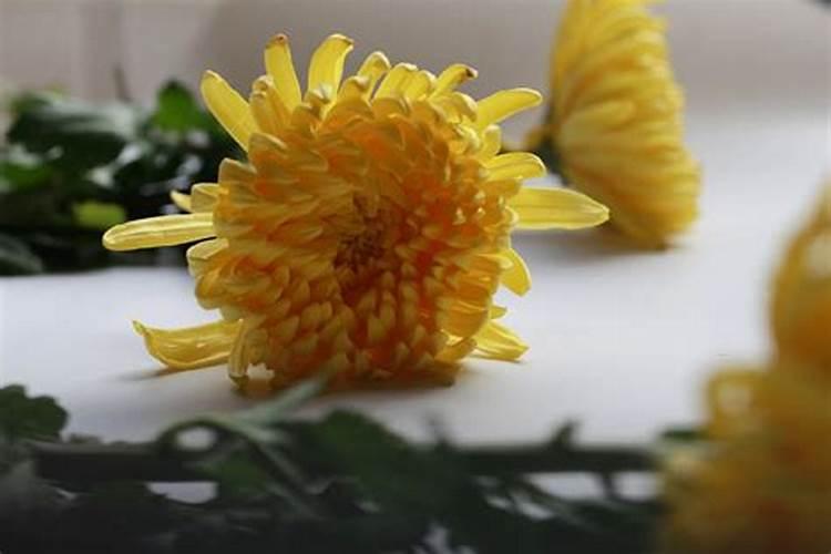 清明节习俗湖南清明节习俗