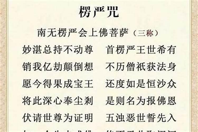 2025年属猪的全年运势