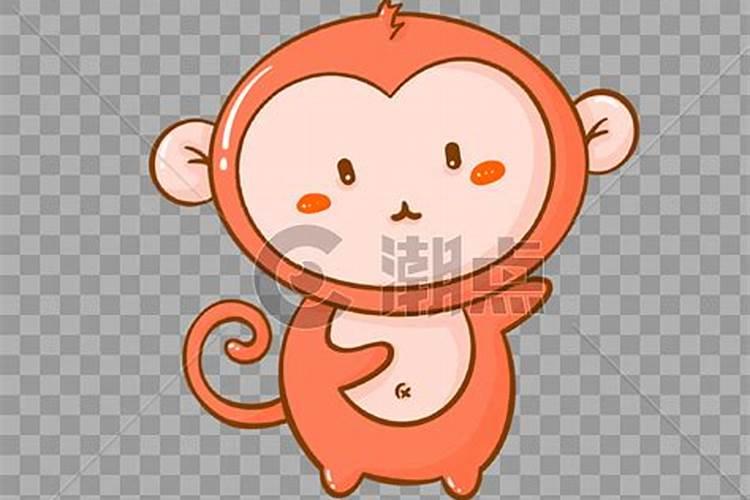 聪明伶俐的动物是什么生肖