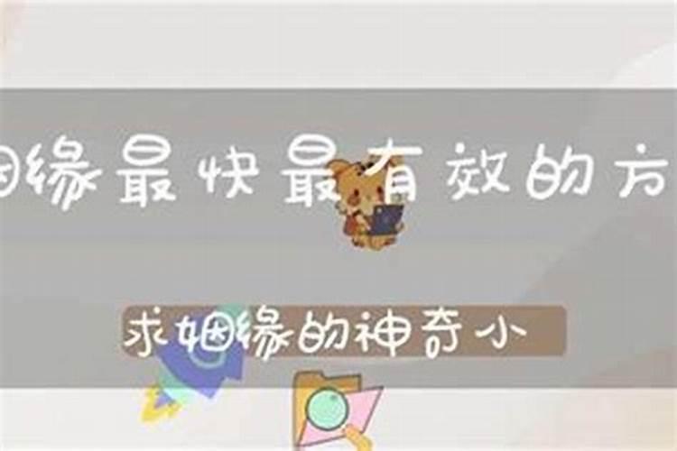 害太岁破太岁值太岁刑太岁分别都是什么意思