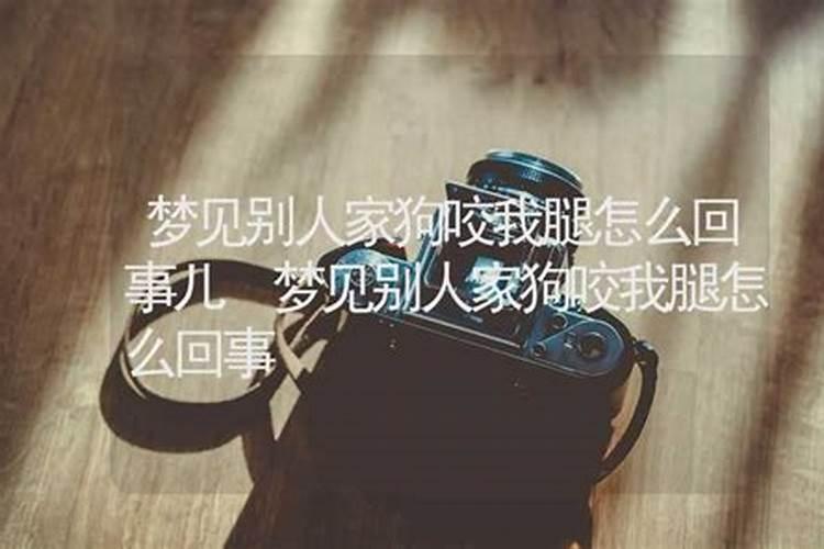 梦见狗追着我叫是什么意思？