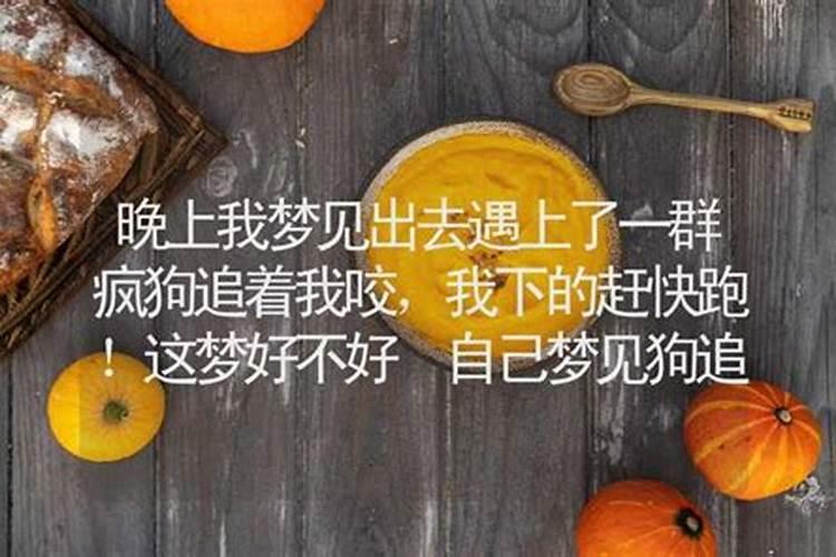 梦到狗追我预示着什么