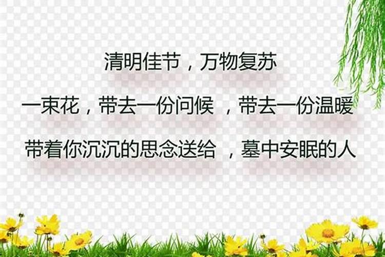 清明节怀念母亲的诗句古诗