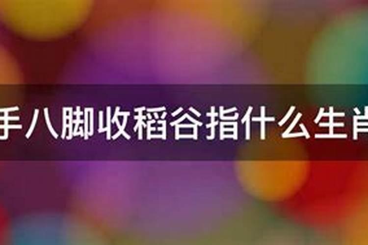 七手八脚指哪个生肖