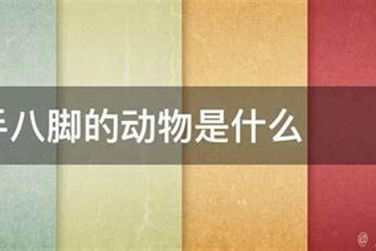12生肖中,是七手八脚的 是哪个动物？？？