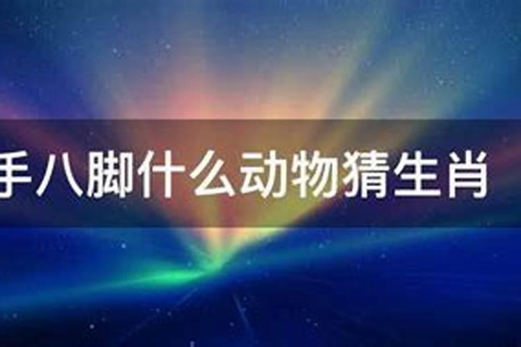 七手八脚的动物