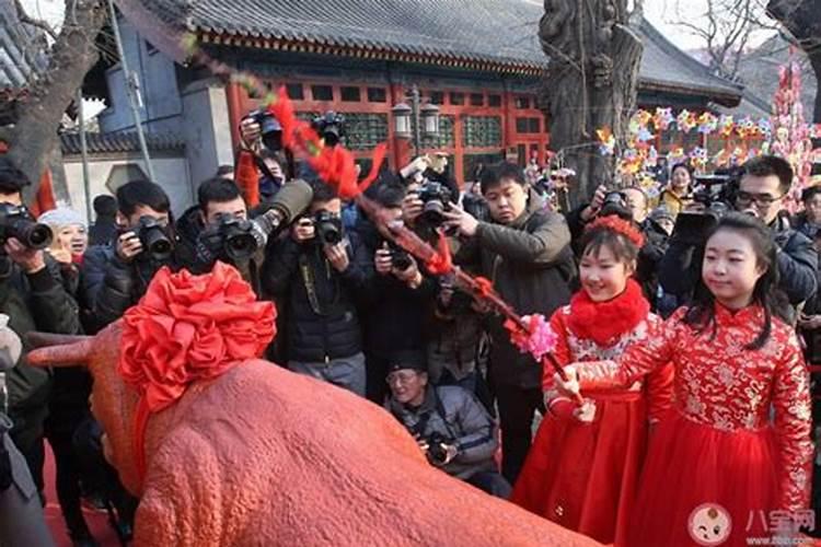 河北立春吃什么