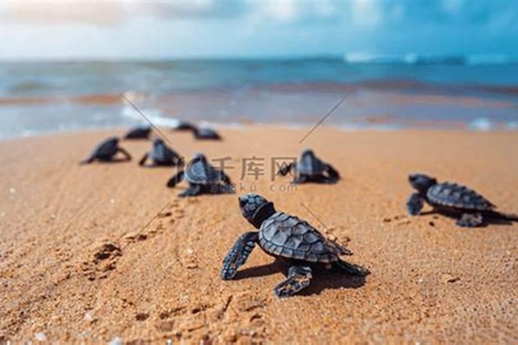 塔罗牌测运势准吗,测每天的运气好不好,用哪种塔罗牌