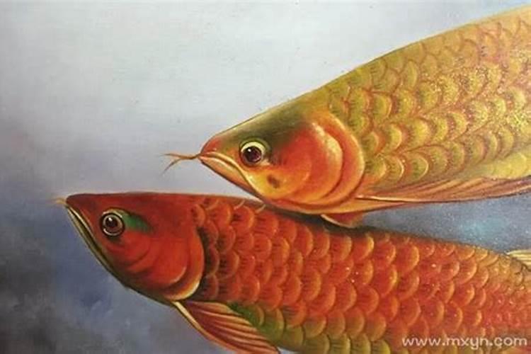 属虎的明年结婚好不好,1998属虎多少岁结婚好