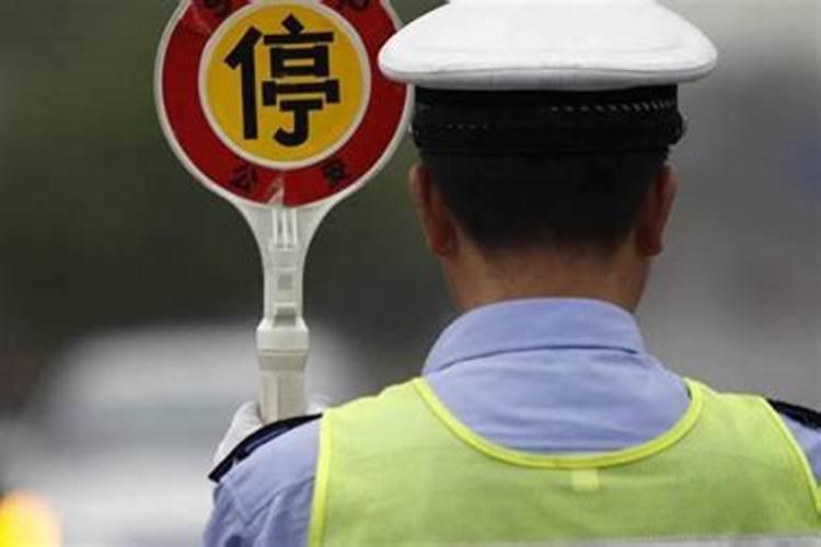 83年猪2025年属猪人的全年运势