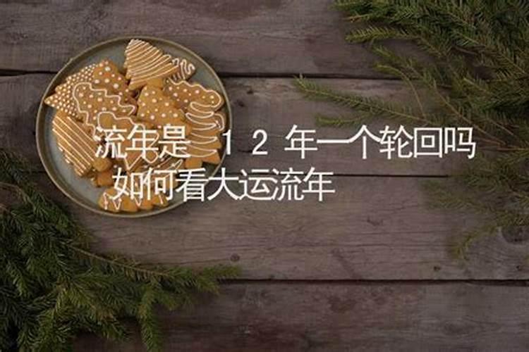 太岁命几多年冲一次,本命来冲太岁羊今年有暗狗什么意思