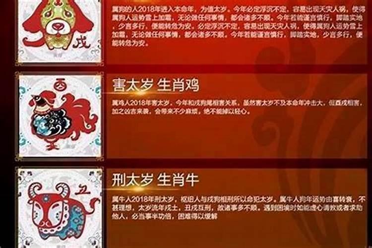 做梦梦见朋友怀孕是什么意思