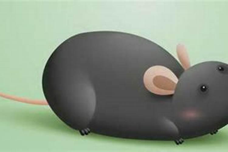 大运比劫合官是什么意思,身弱走官杀大运