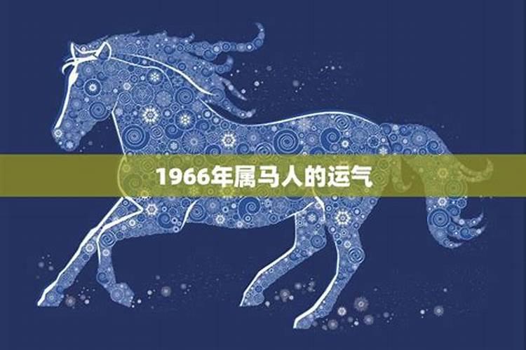 梦见买玉米棒子啥意思