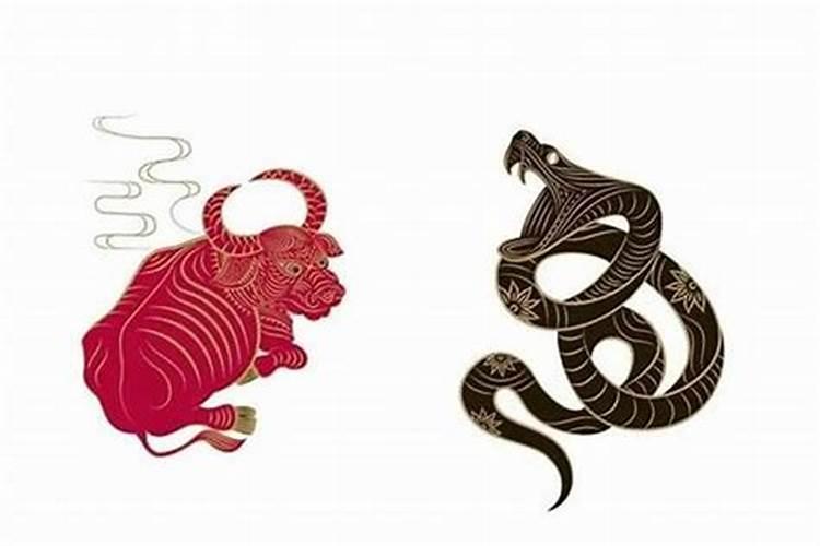 2023年3月15号出生康姓宝宝取名叫什么