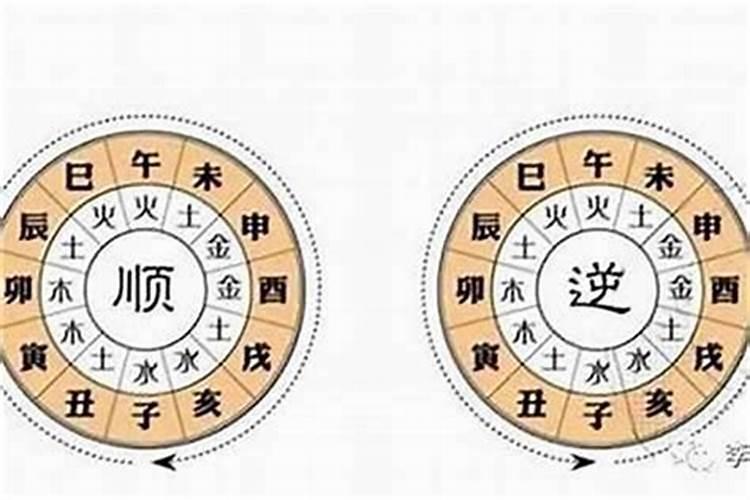 属蛇人2025年运势详解