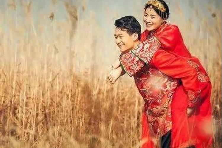 女属狗最佳婚配前十名揭晓