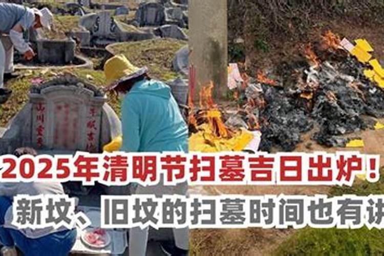 梦见梦树上接满红枣的预兆