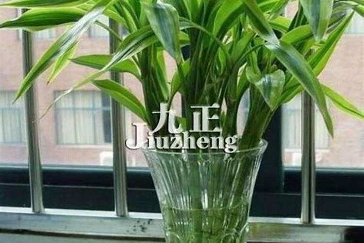 破太岁最灵验化解方法两种方法快速化解破太岁的问题